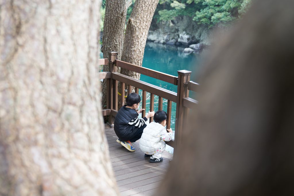 푸른 협곡의 숨결 제주도 쇠소깍을 만나다_2023 10