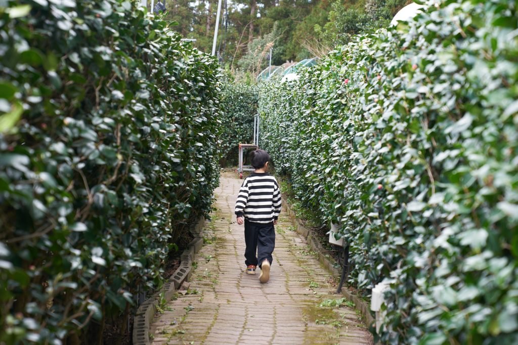 서귀포 동화속으로 미로공원 후기_2023 20