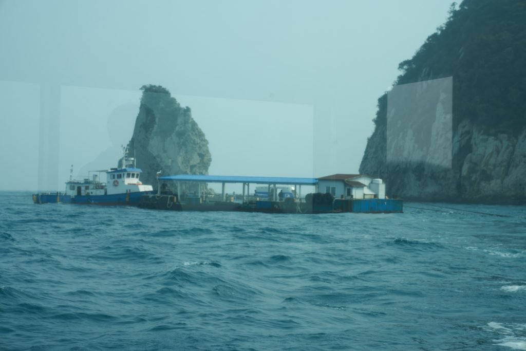 서귀포잠수함으로 바다 세계 탐험기_2023 30