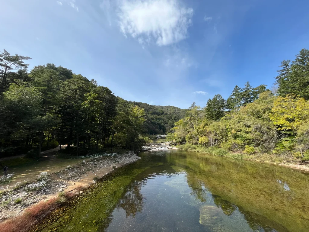 오대산 월정사 전나무숲길 한적한 산책길_2023 10