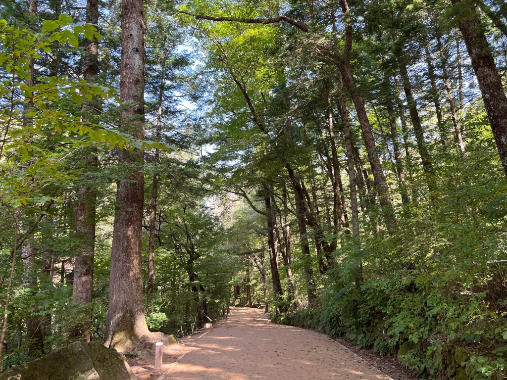 오대산 월정사 전나무숲길 한적한 산책길_2023 38