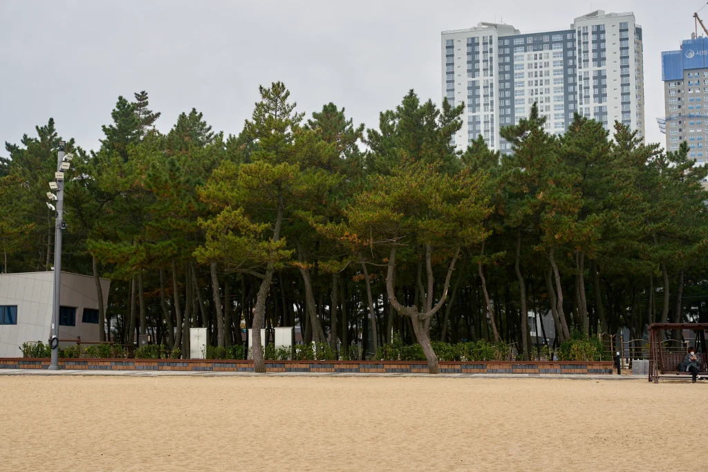 속초해수욕장 겨울해변에 다녀왔어요_2020 30