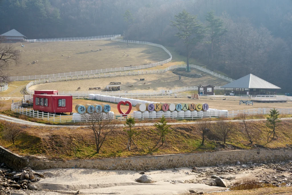 대관령 하늘목장 강원도 가볼만한 곳_2020 6