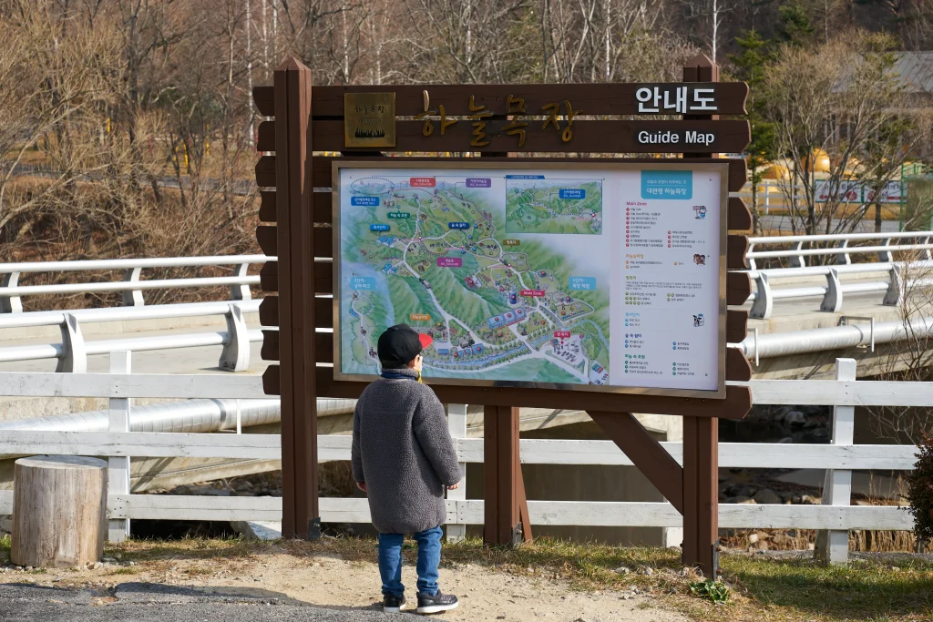 대관령 하늘목장 강원도 가볼만한 곳_2020 8