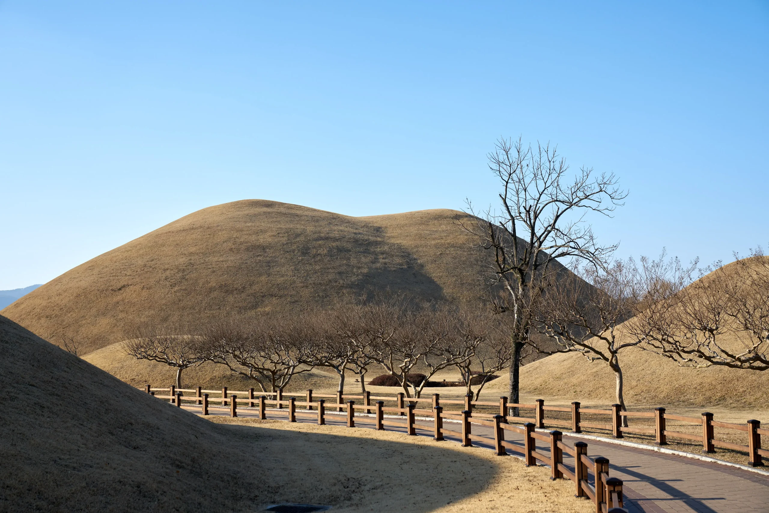 경주 대릉원 포토존 찾아가기, 천마총 구경할 만 할까?_2024 4