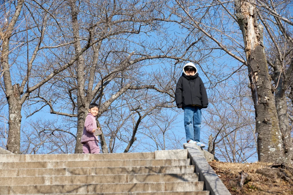 불국사 경주 가볼만한 곳, 주차장 요금 위치는?_2024 8