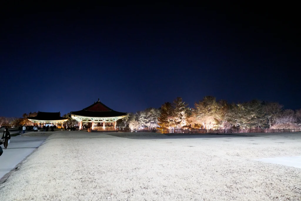 경주 야경명소 안압지 동궁과 월지 야간투어, 점등시간 주차장 이용방법은?_2024 12