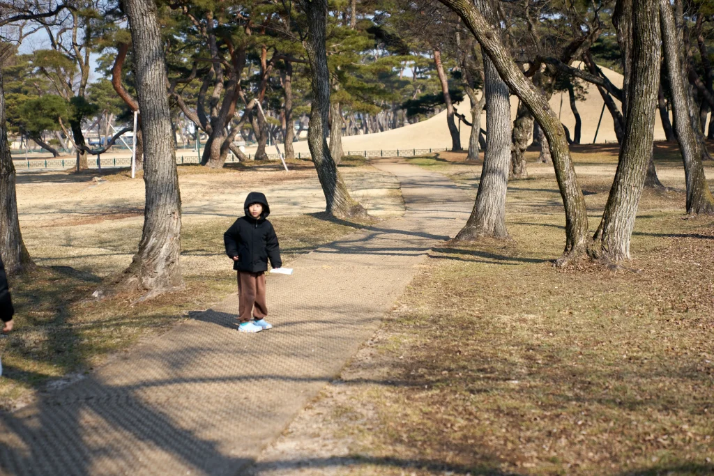 경주 오릉 한적한 산책 데이트 장소 추천_2024 16