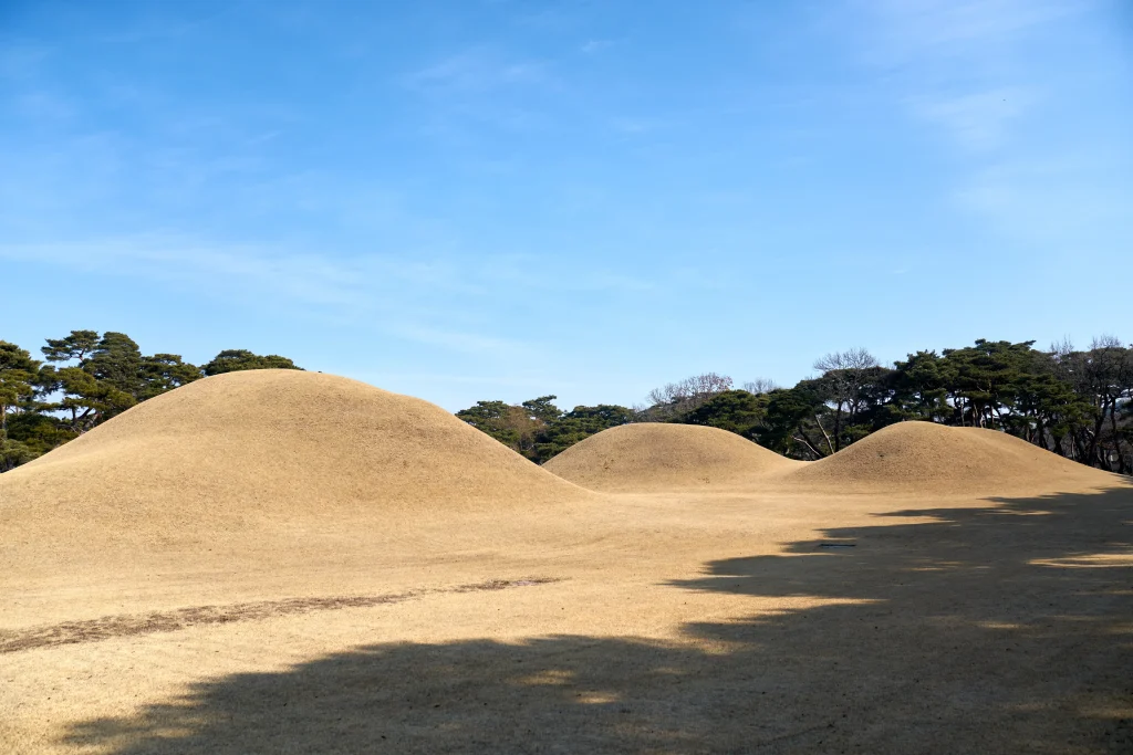 경주 오릉 한적한 산책 데이트 장소 추천_2024 12