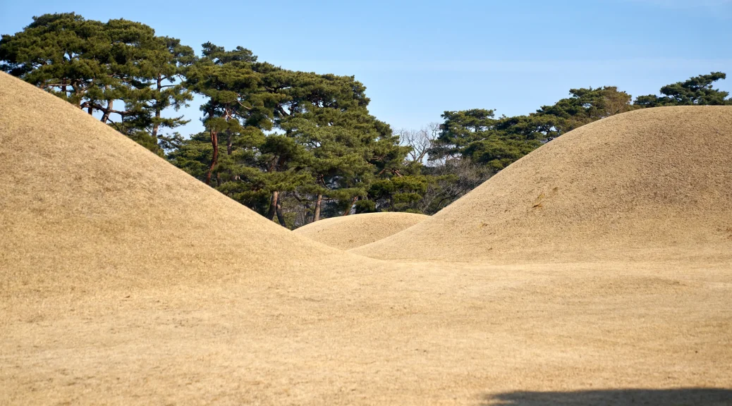 경주 오릉 한적한 산책 데이트 장소 추천_2024