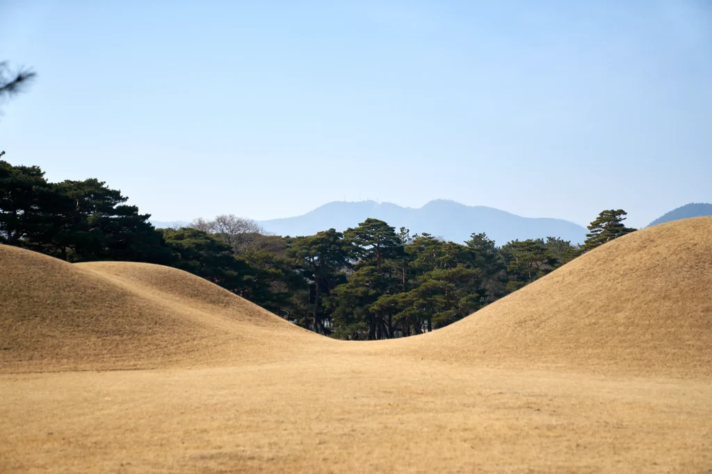 경주 오릉 한적한 산책 데이트 장소 추천_2024 14